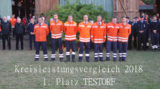 2018-08-25 Kreisfeuerwehrtag (32)